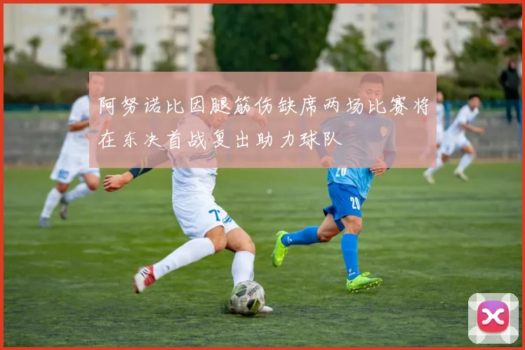 阿努诺比因腿筋伤缺席两场比赛将在东决首战复出助力球队